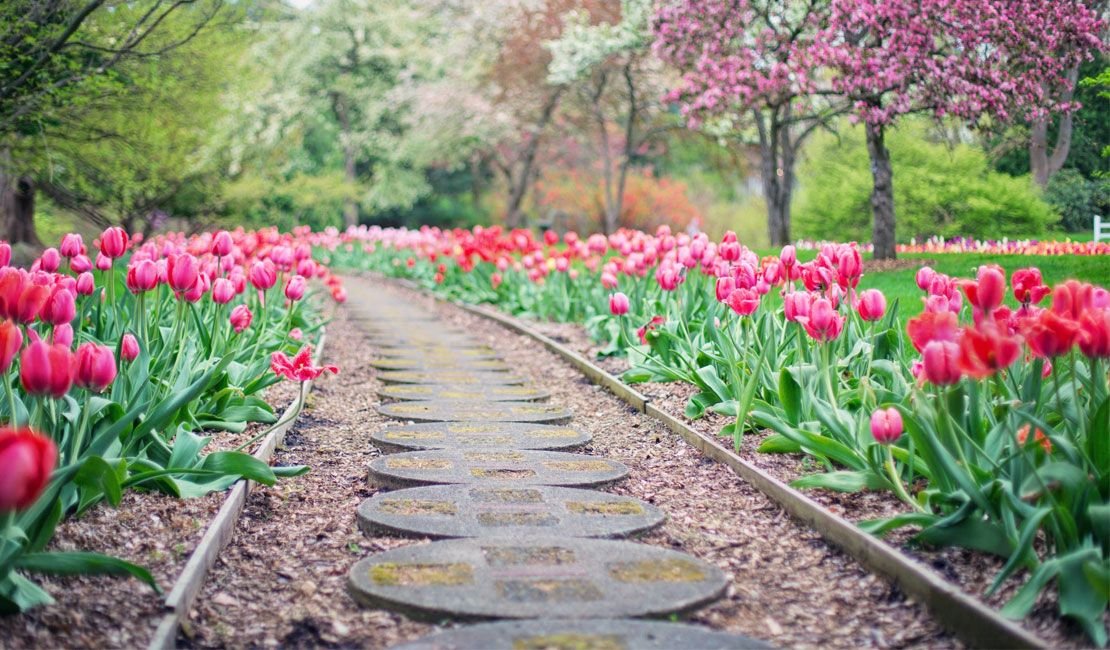 Rose Garden Path landscaper-homepage-work-01